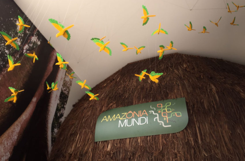  Inédita no Sul do Brasil, Exposição “Amazônia Mundi” chega a Balneário Camboriú